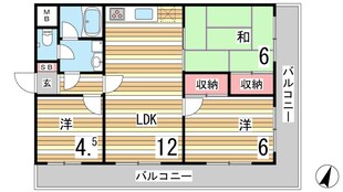 パレ・ルミエール岡本の物件間取画像